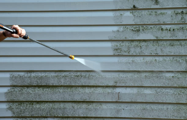 Best Sign and Awning Cleaning  in Dryden, MI