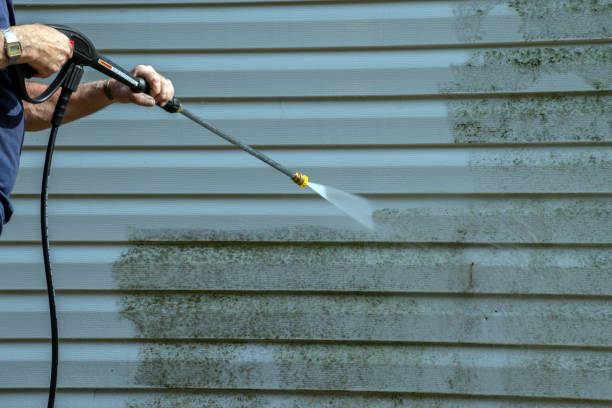 Solar Panel Cleaning in Dryden, MI