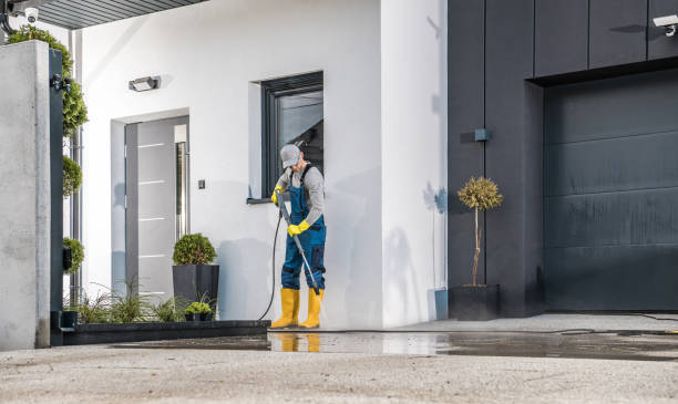 Best Fleet Vehicle Washing  in Dryden, MI